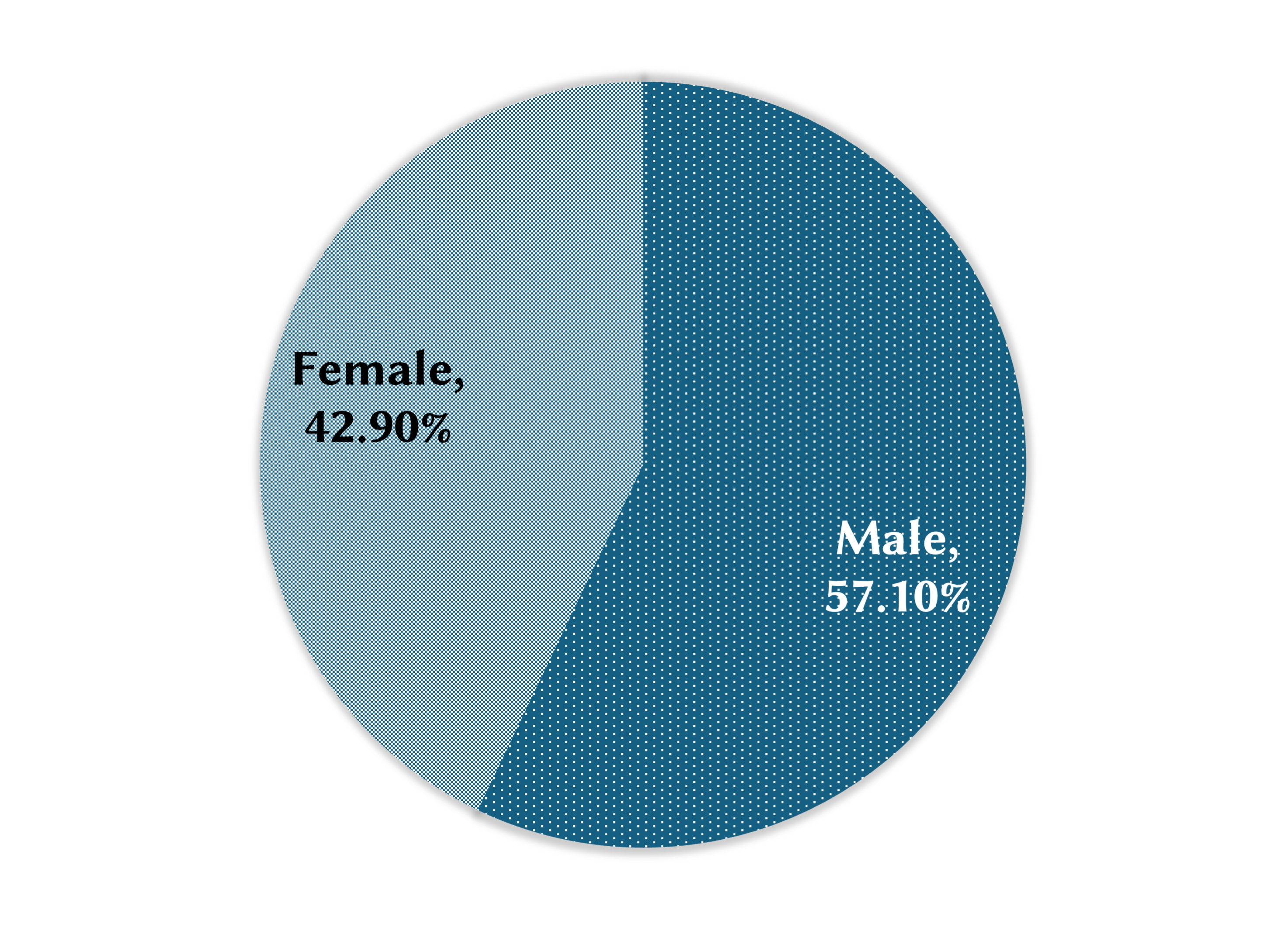 Gender Pie